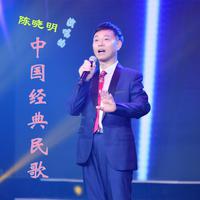 陈晓明-心上人像达玛花 伴奏 无人声 伴奏 AI版