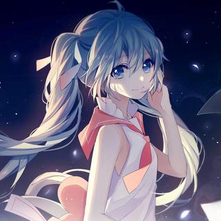 「初音未来」公主殿下翻唱合辑