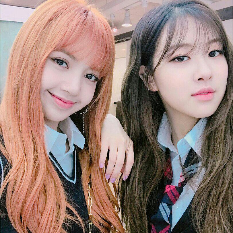 ROSÉ & LISA 蠢萌五花肉相关♥ 持更♪