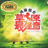 (太极拳伴奏音乐)嘎达梅林(马头琴)