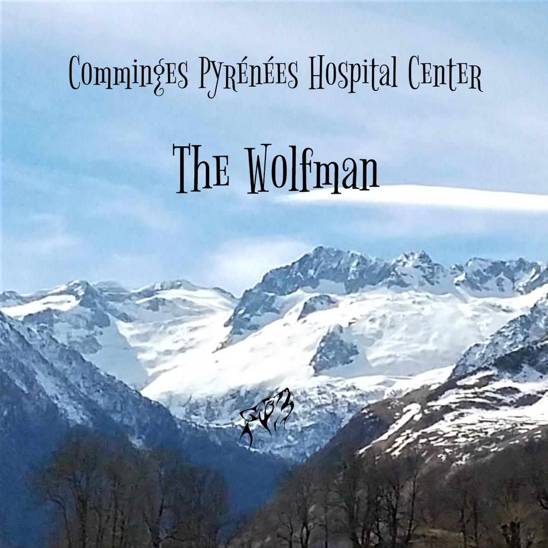 Comminges Pyrénées Hospital Center
