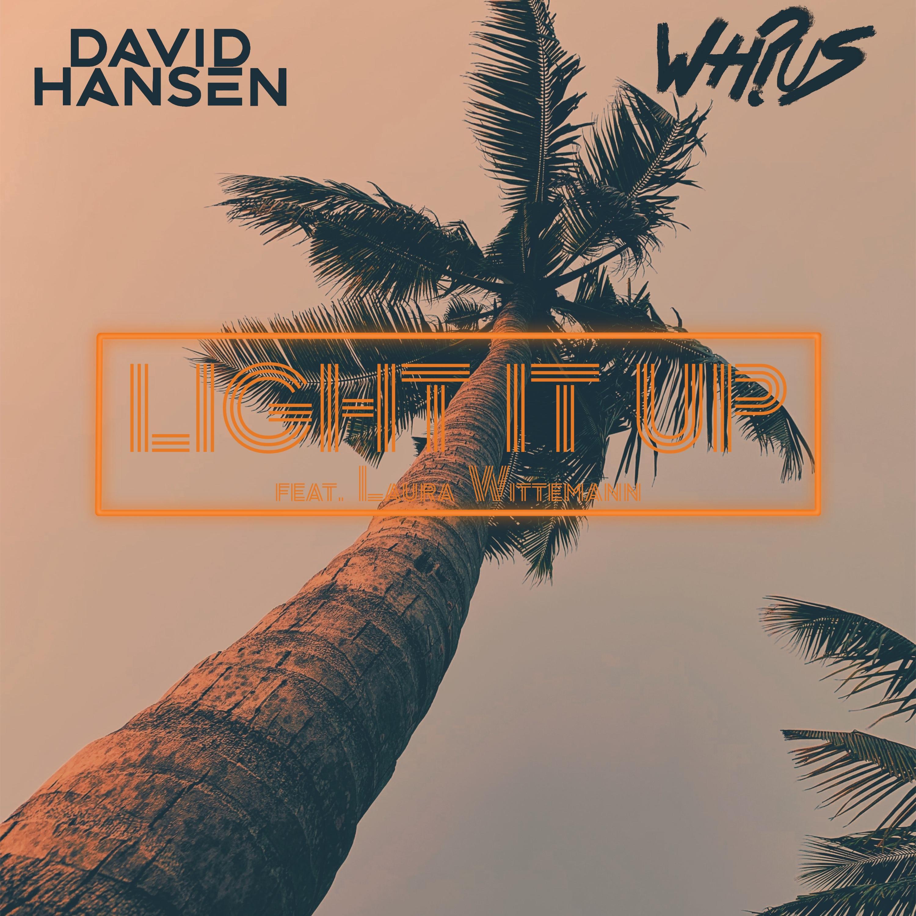 Light It Up (feat. Laura Wittemann) [Radio Edit]
