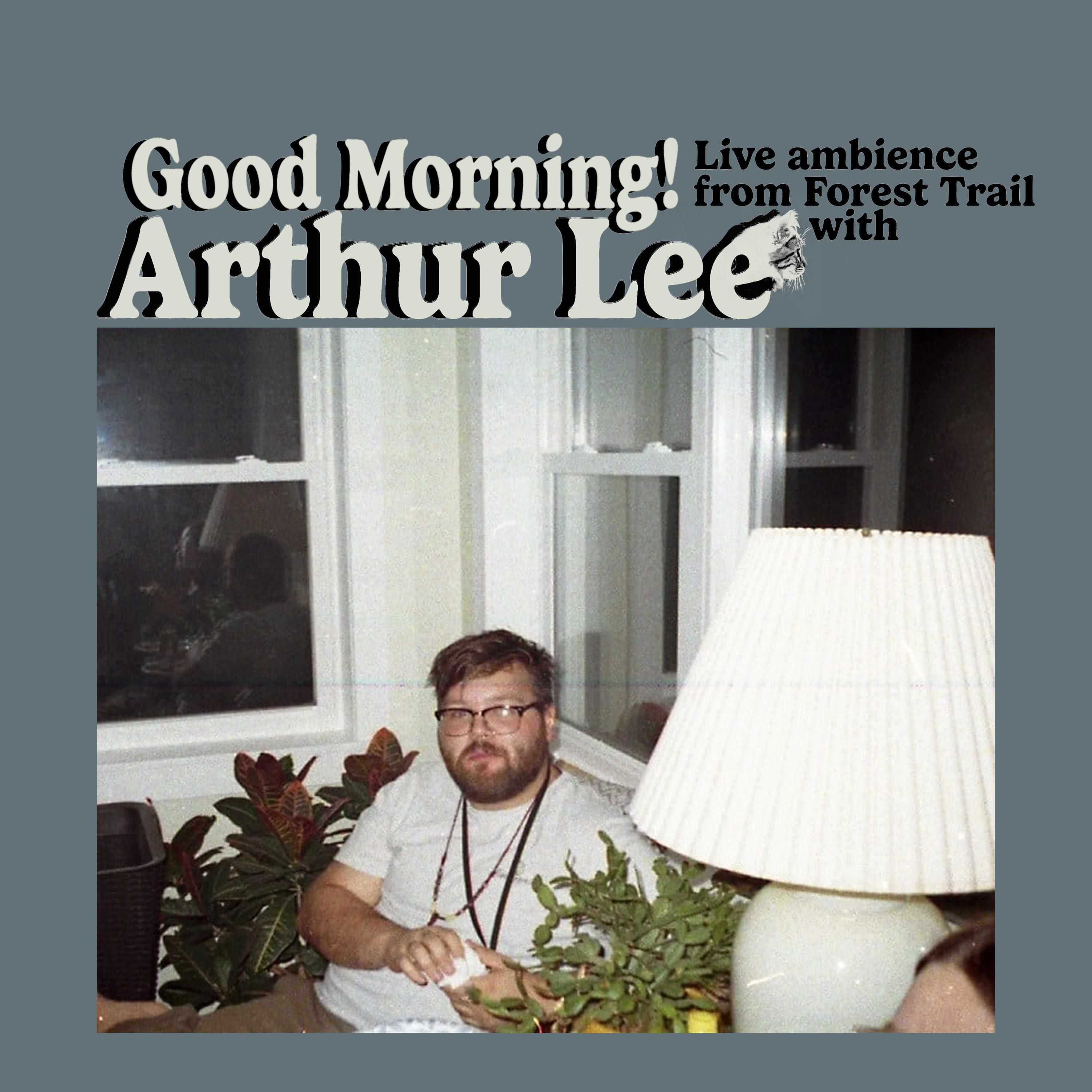 Good Morning! Live Ambience From Forest Trail