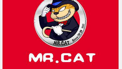 Mr.cat乐队