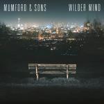 Wilder Mind (Deluxe)专辑