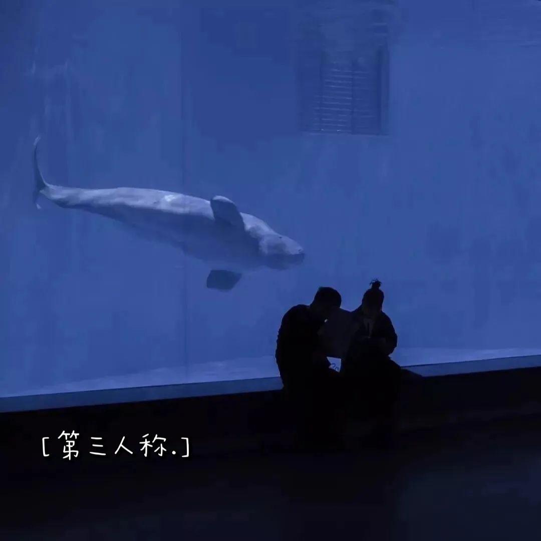 陶孟童歌曲封面