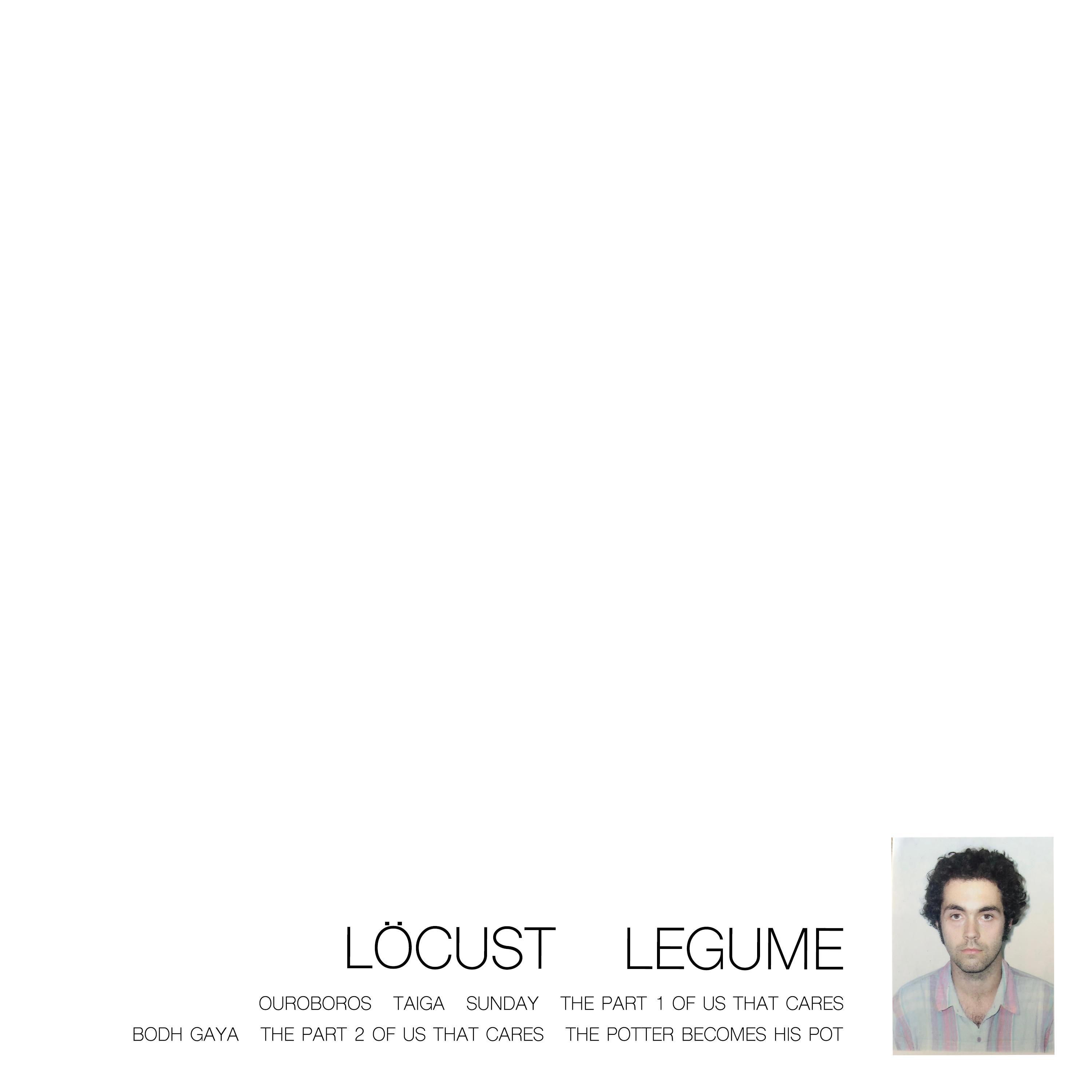 Legume