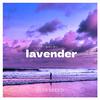 STAR SEEED - lavender