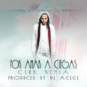 Por Amar a Ciegas (DJ Acece Remix)专辑