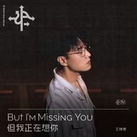 王铮亮 - 但我正在想你 (原版伴奏)