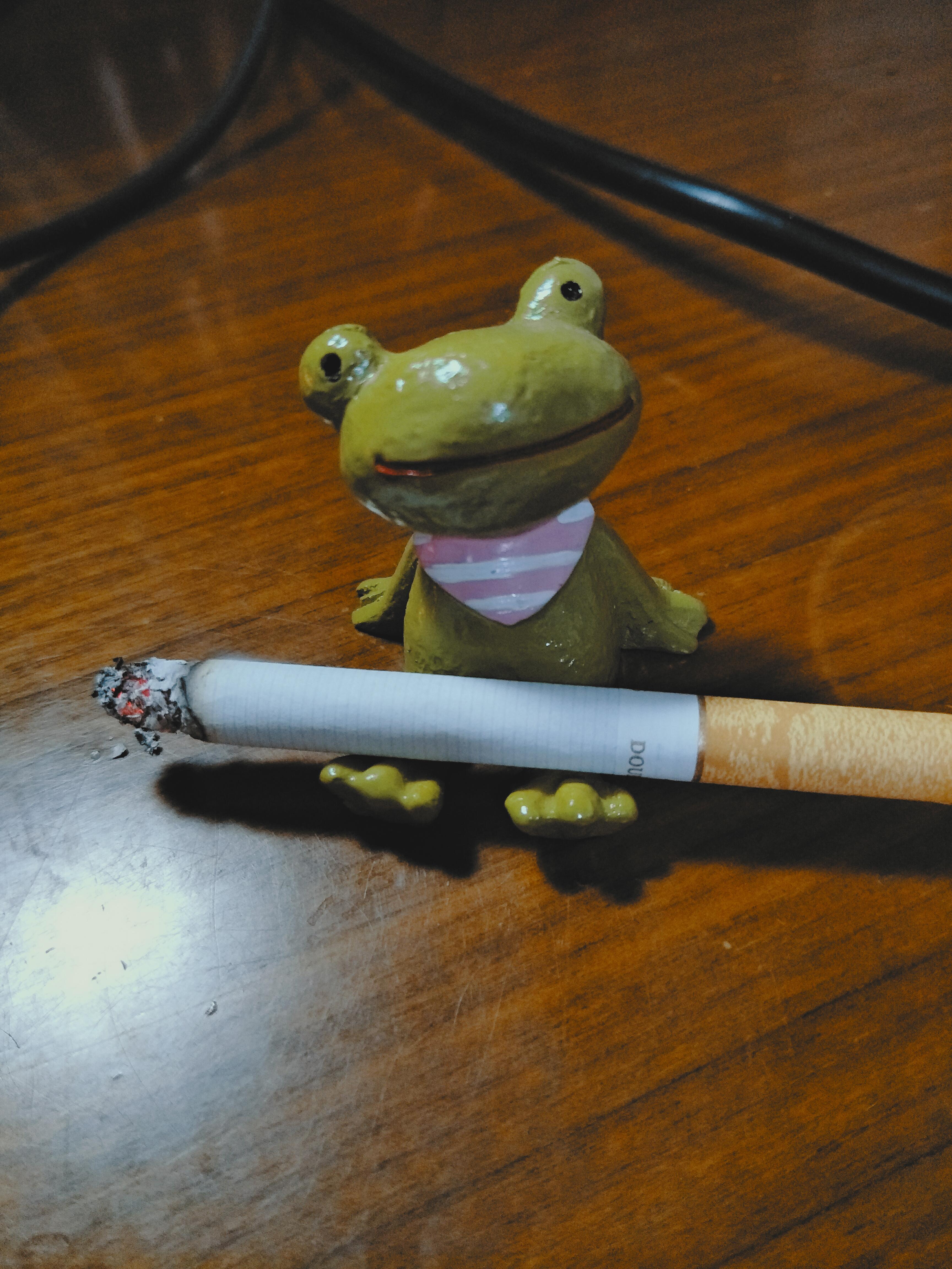 ☺一 騎 绝 尘☺