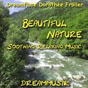 Beautiful Nature - Soothing Relaxing Music专辑