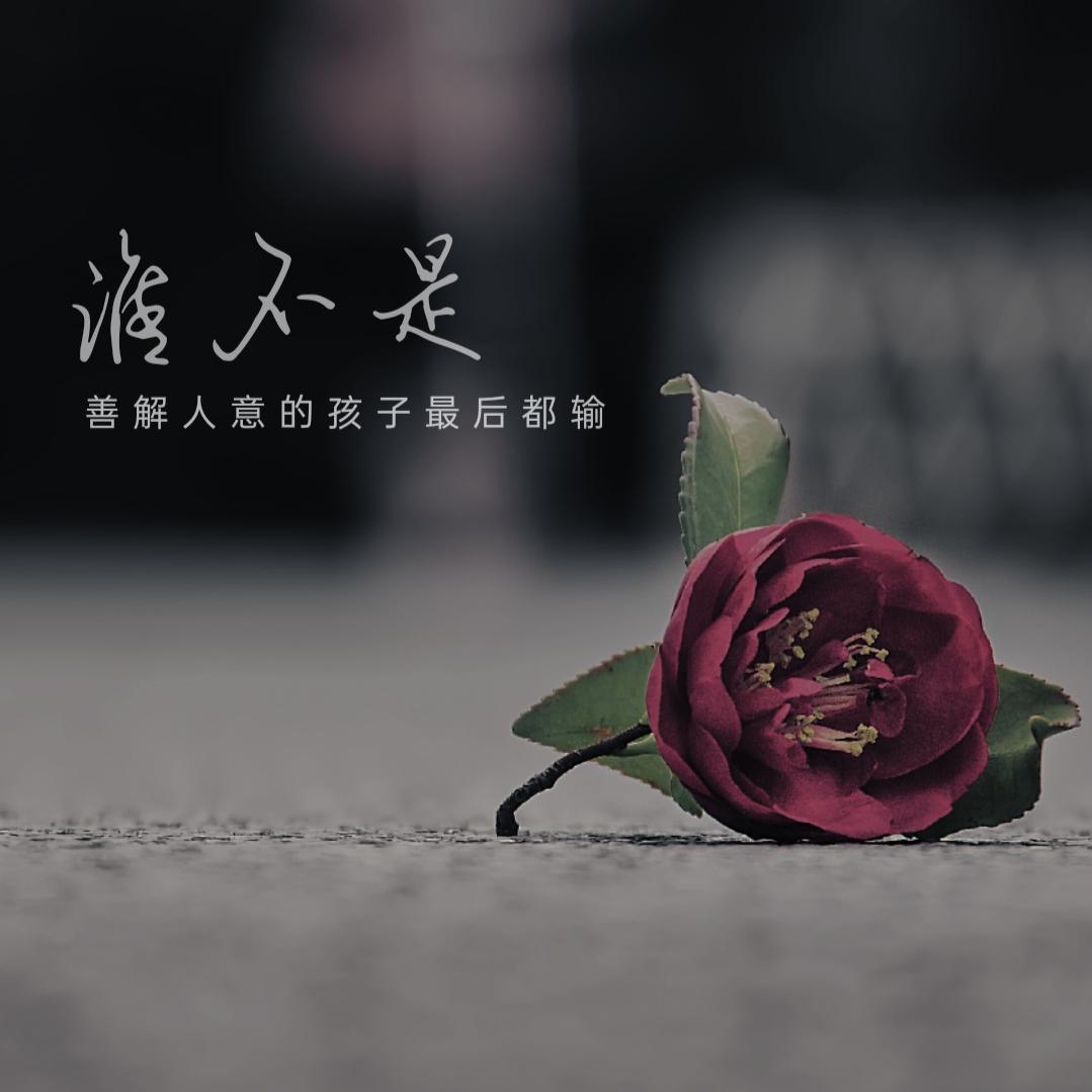 《谁不是》