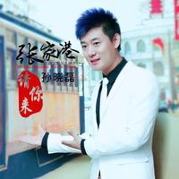 孙晓磊 - 张家港请你来(原版立体声伴奏)