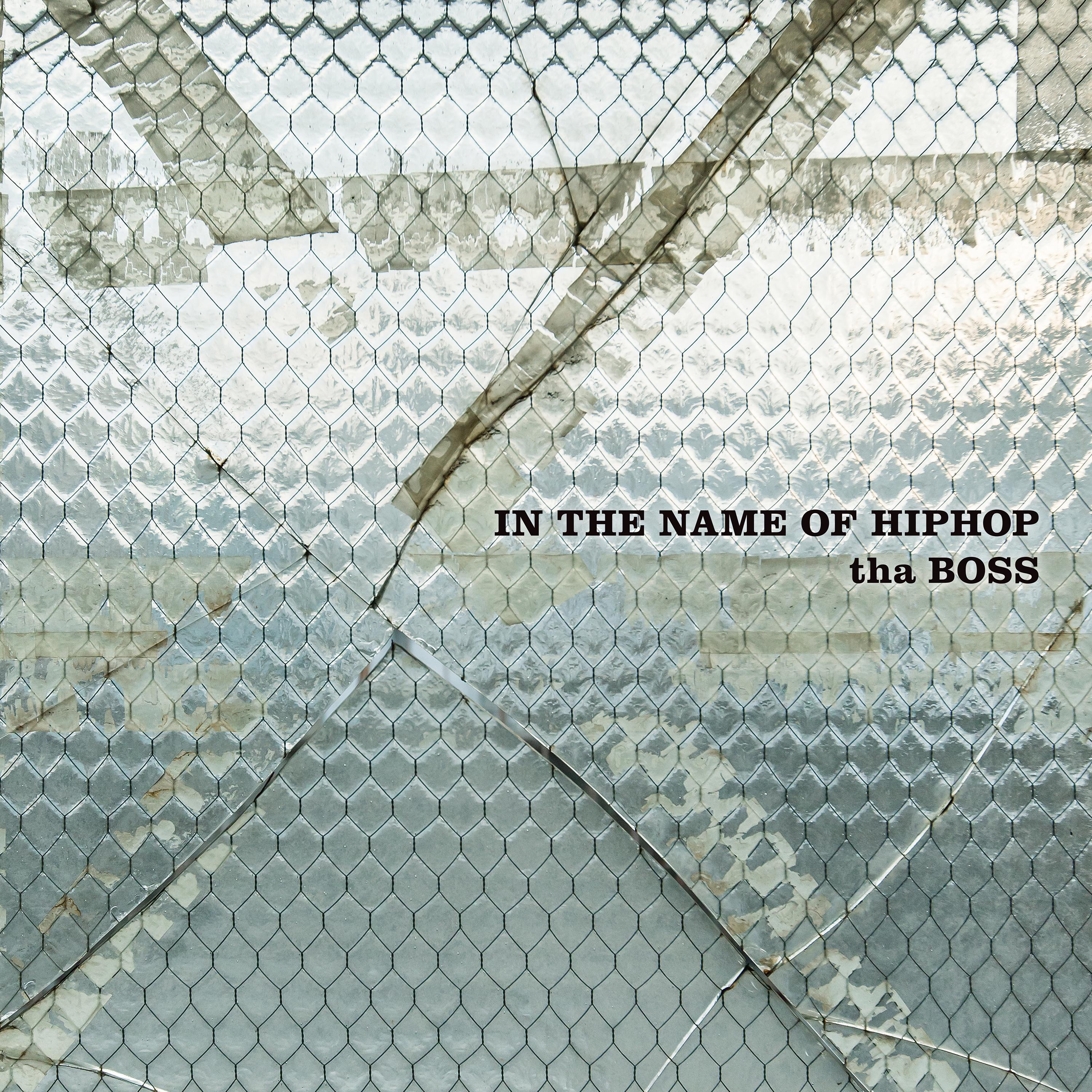 IN THE NAME OF HIPHOP