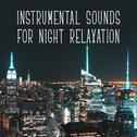 Instrumental Sounds for Night Relaxation专辑