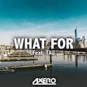 What For (feat. TAU)专辑