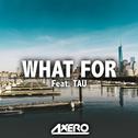 What For (feat. TAU)