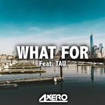 What For (feat. TAU)专辑