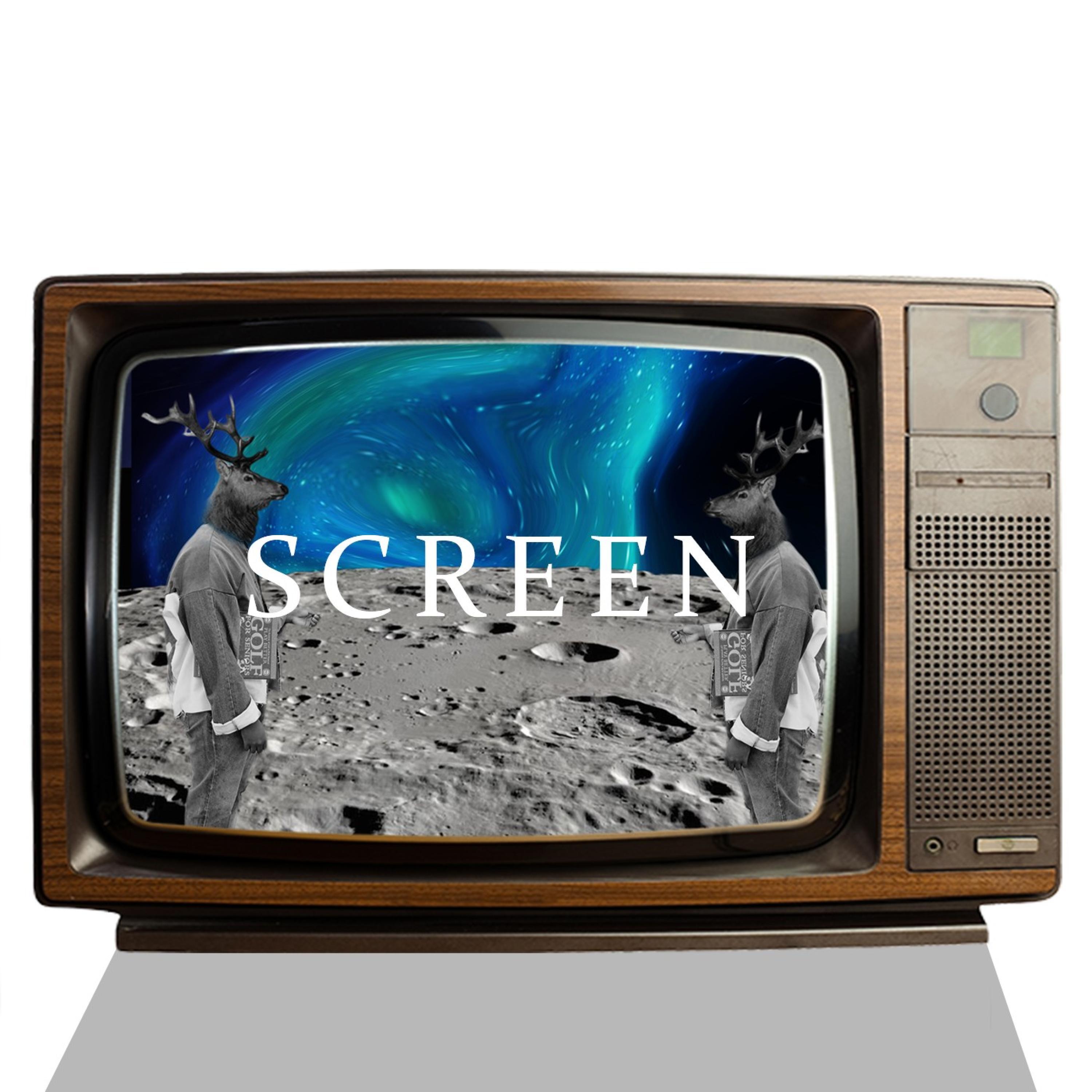 Screen