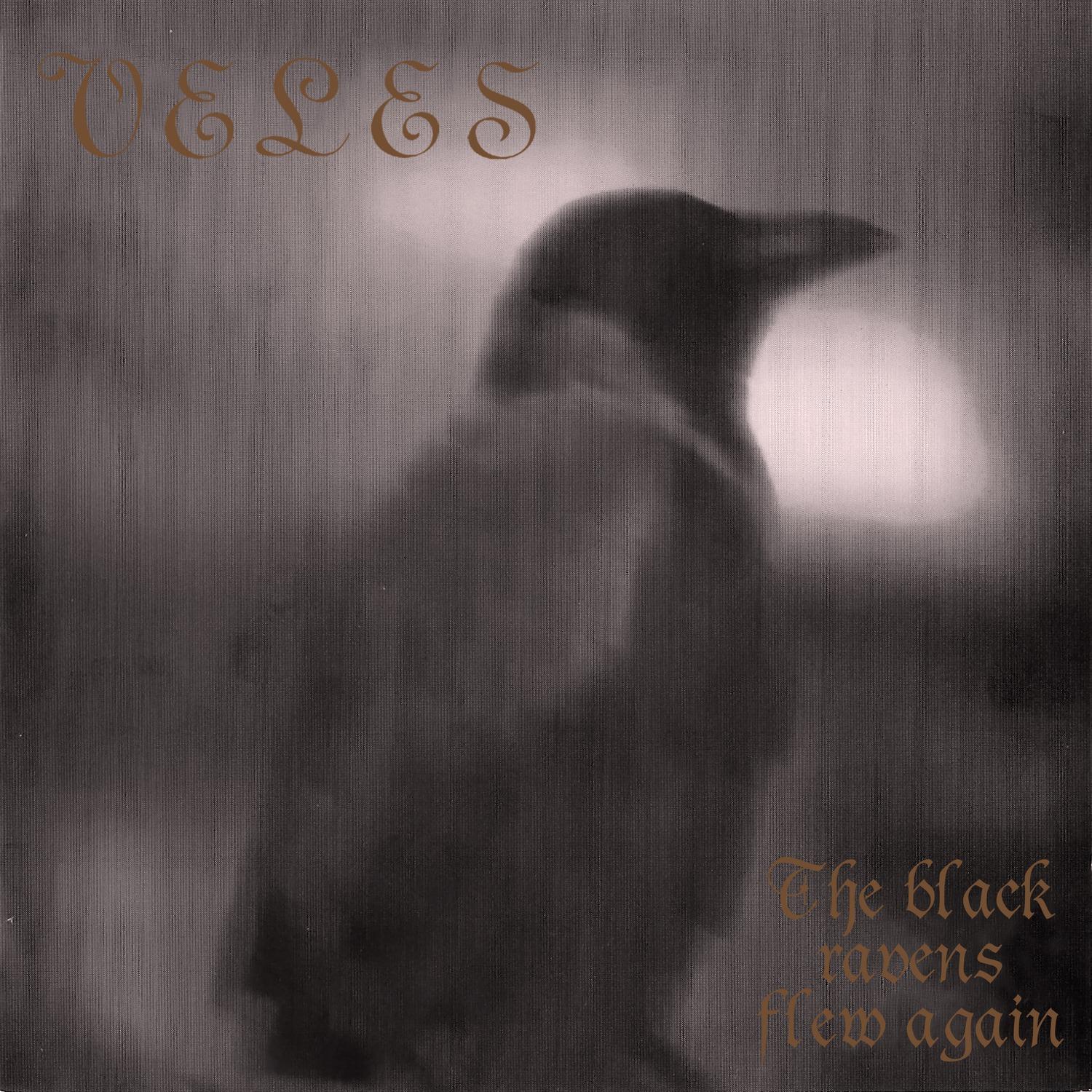 The Black Ravens Flew Again