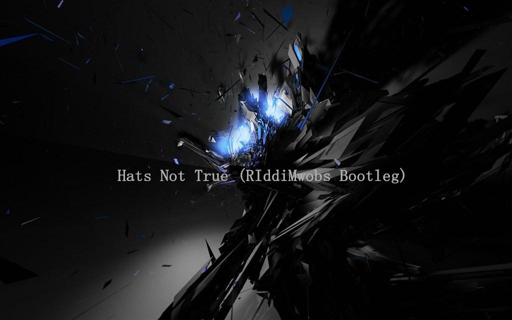 Hats Not True (RIddiMwobs Bootleg)专辑