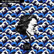Op.25 (Winter Wind)专辑