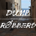 Dumb Robbers