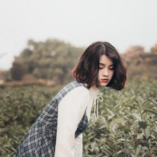 怪你过分美丽，你离开的孤岛已没有四季