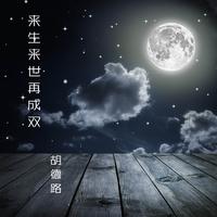 胡德路-来生来世再成双