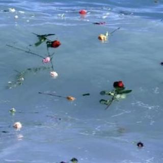 我的爱总打水漂