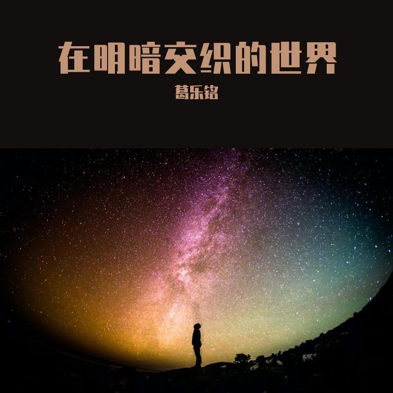 在明暗交织的世界