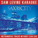 Sam Levine Karaoke - Sax In The City专辑