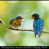 Pleasing Nature Sounds with Birds Chirping, Vol. 07