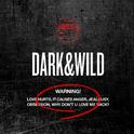 DARK&WILD专辑