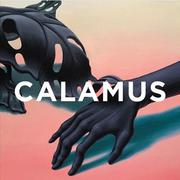 Calamus