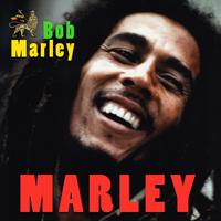 Bob Marley - Put It On (karaoke)