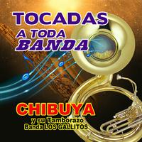 Cantare A Toda Banda - Dos Hojas Sin Rumbo (karaoke)