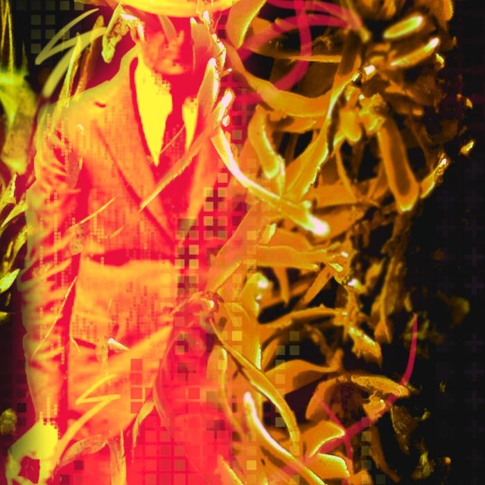 Birdy. Comp, Vol 4