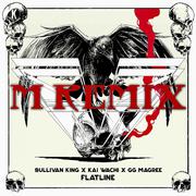 Sullivan King-Flatline（M remix）