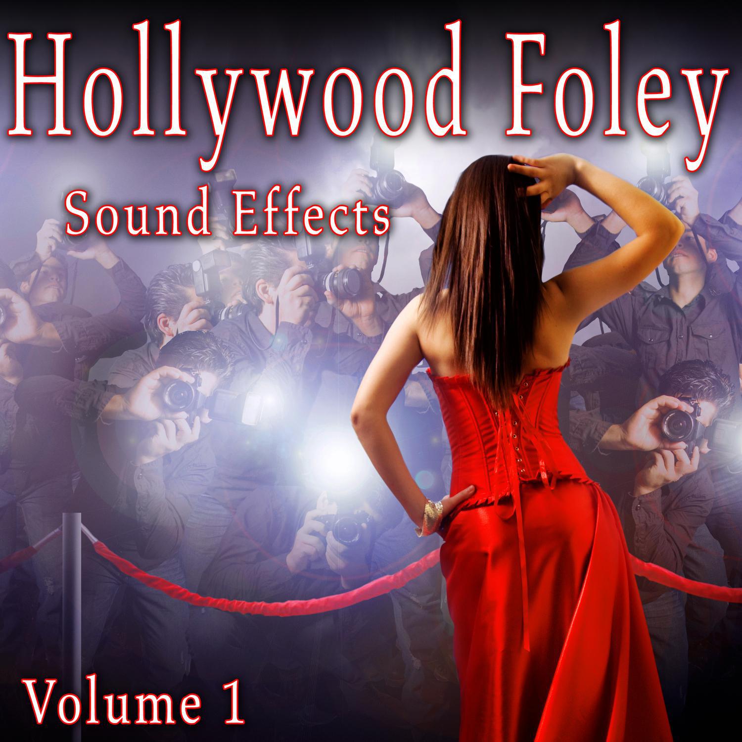 Hollywood Foley Sound Effects, Vol. 1专辑