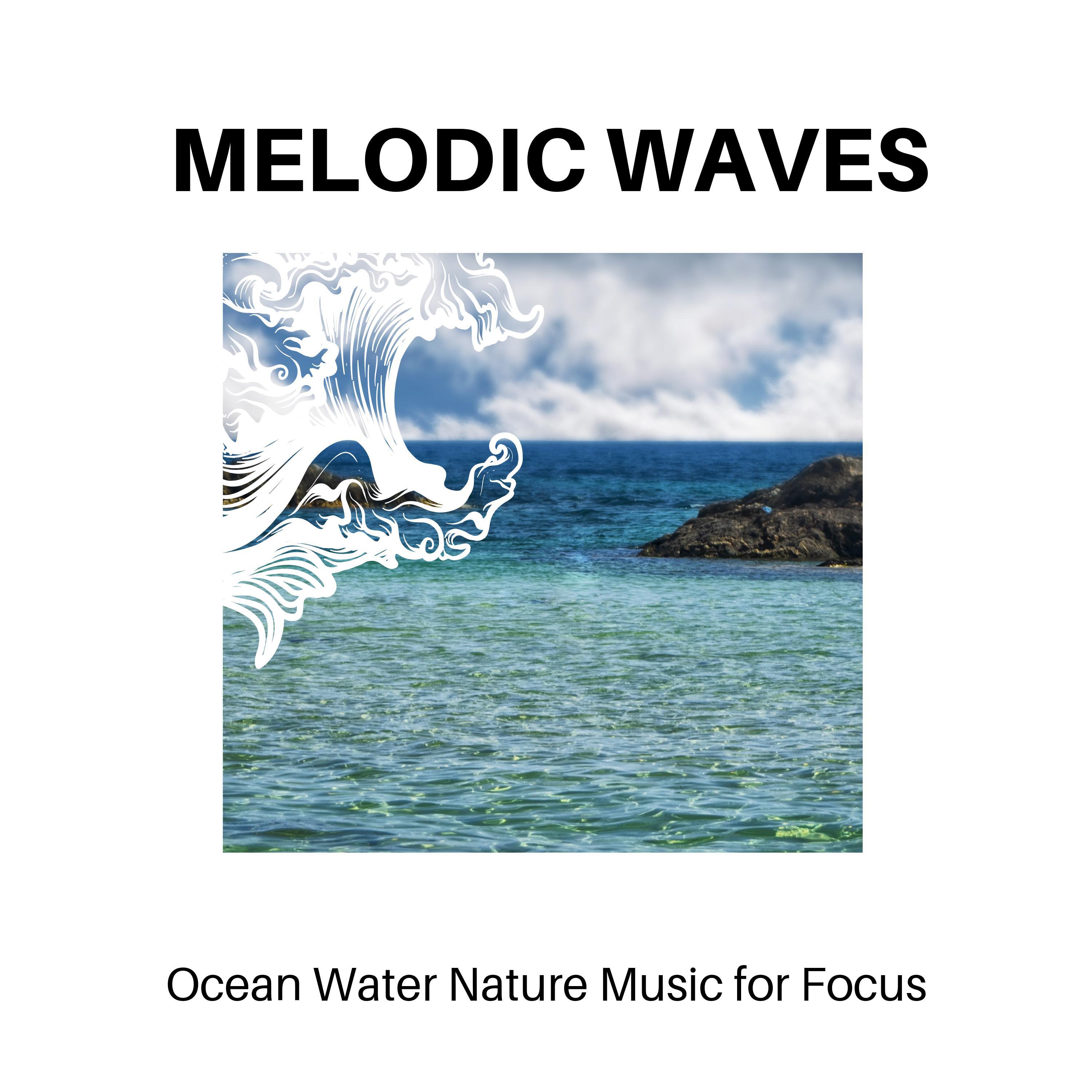 Neils Divine Melodies Project - Admiring Ocean Waves