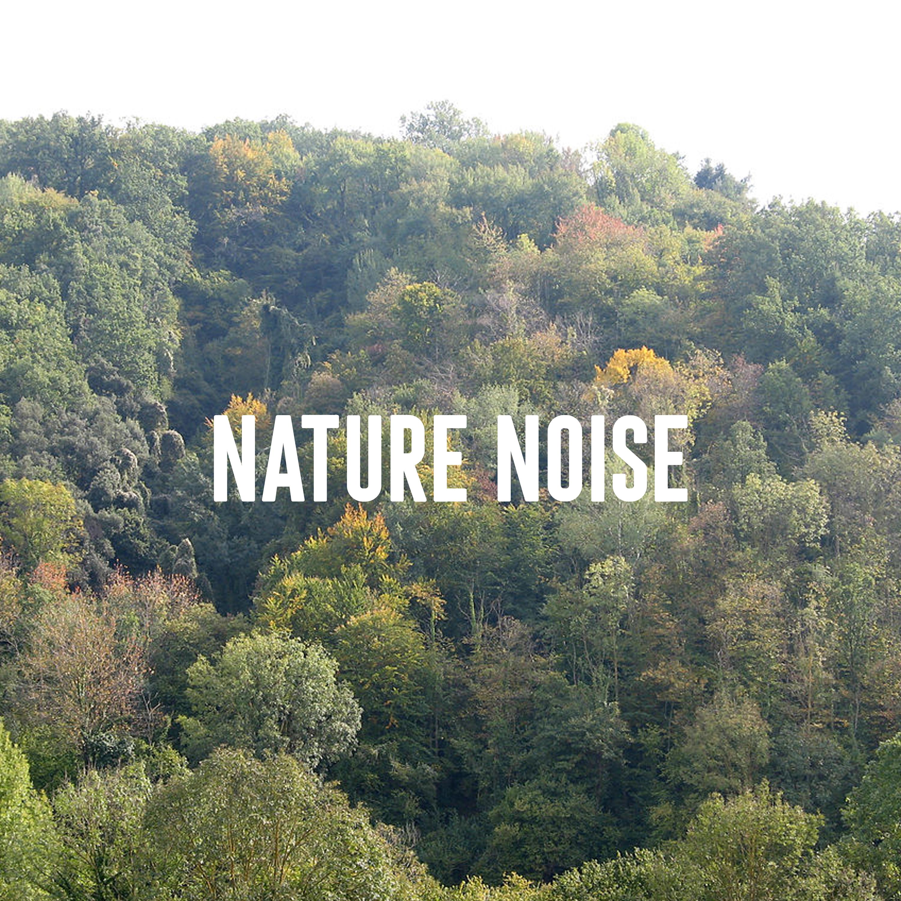 Nature Noise