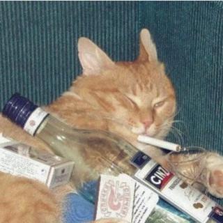 CHINA NEW wave rap『real shit』