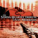 The String Quartet Tribute to Van Morrison专辑