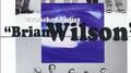 Brian Wilson专辑
