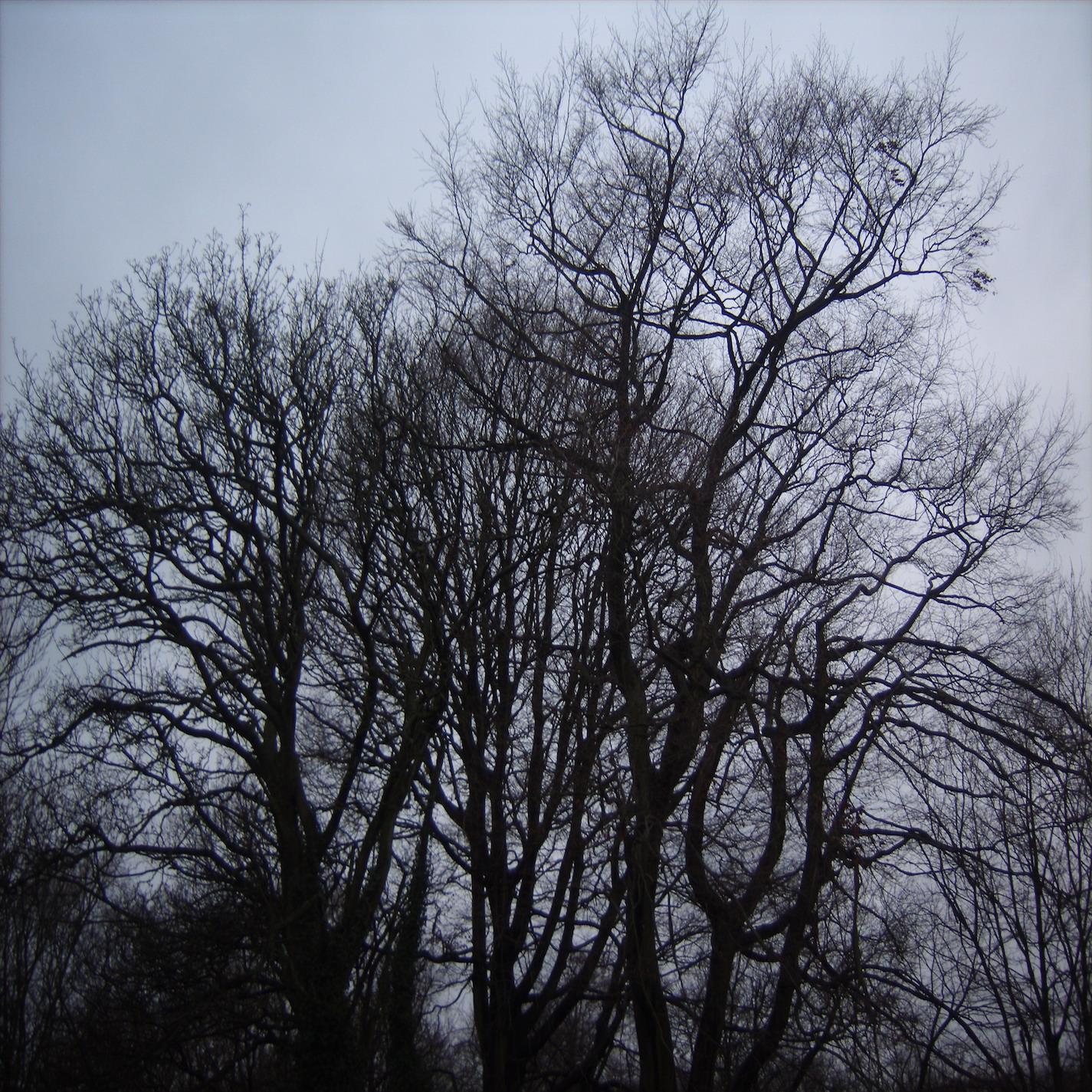 Music For Quiet Corners / Songs For No One