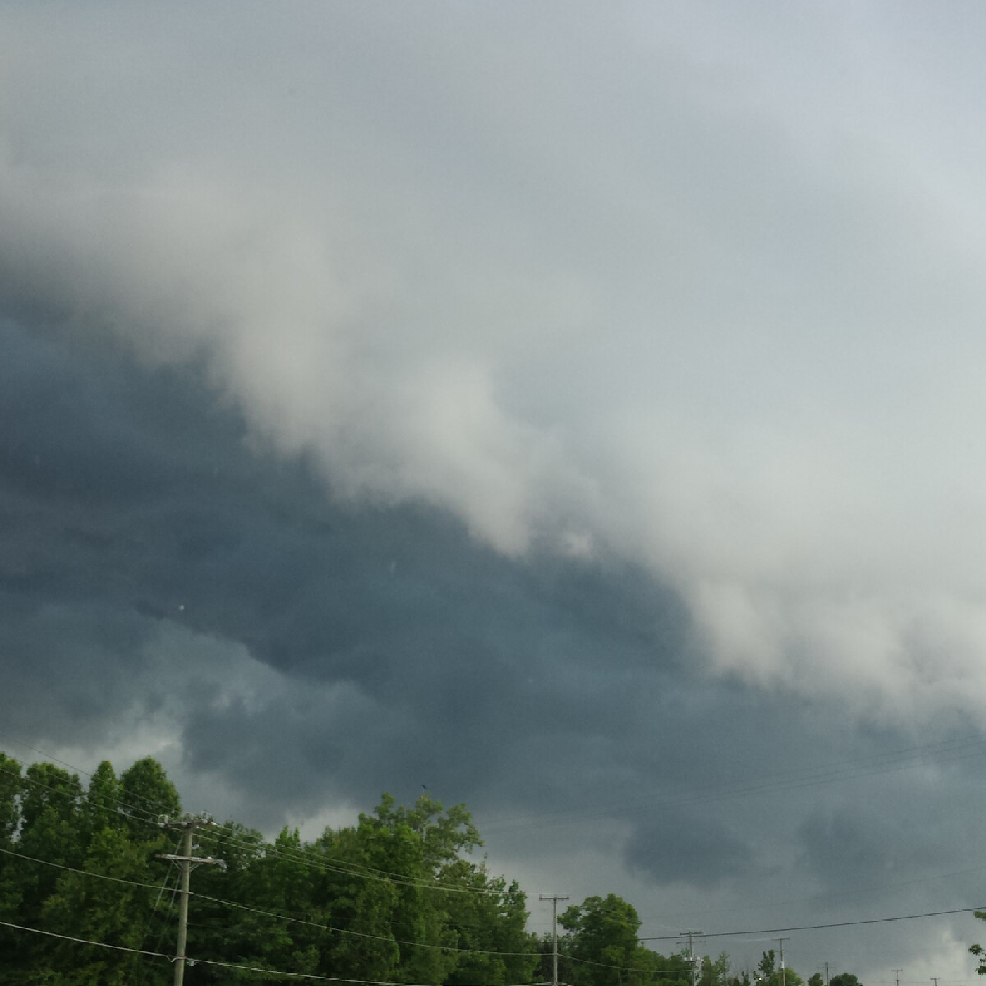 my dad wants to fight me