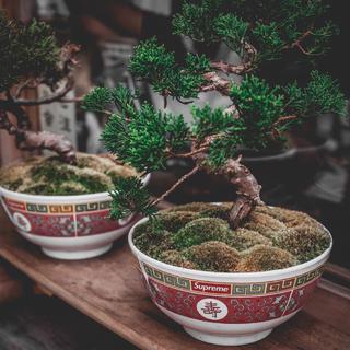 在油腻的日子里养生
