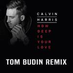 How Deep Is Your Love (Tom Budin Remix)专辑